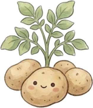 Kartoffel