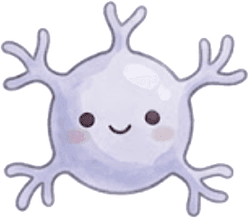 神経細胞