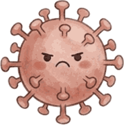 Influenza Virion