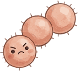 Streptococcus