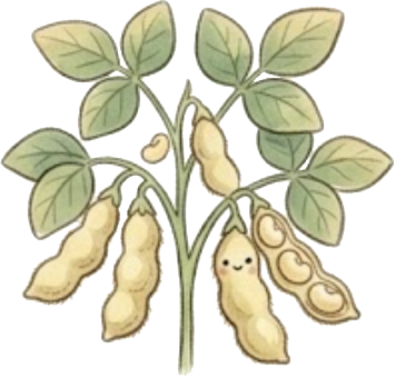 Jelly Bean