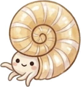 アンモナイト