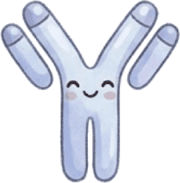 Antibody