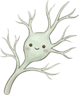 Delicate Nerve Branch
