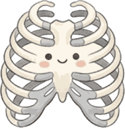 Thoracic Rib Cage