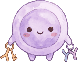 B-Cell