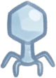 Phage Pod