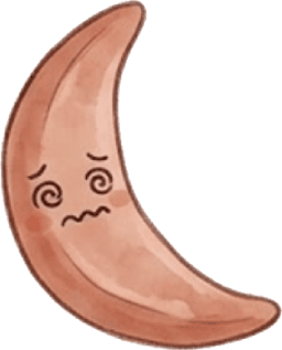 Sichelzelle