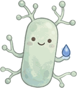Streptomyces