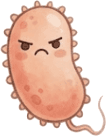 Bactéria