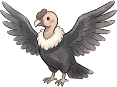 Andean Condor