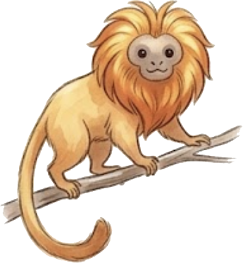 Golden Lion Tamarin