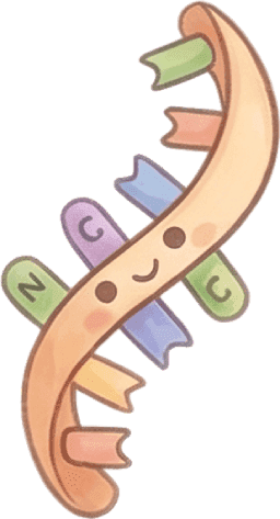 mRNA Transcript
