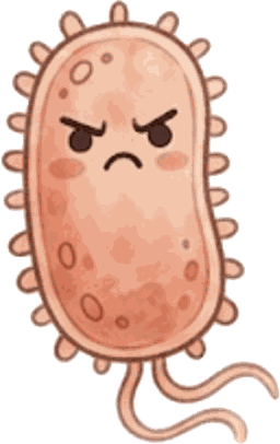세균성 패혈증