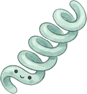 Spirulina-Spirale